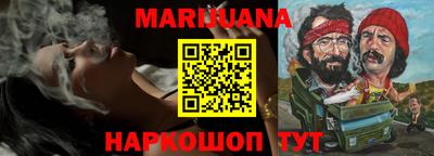 индика Жуковский