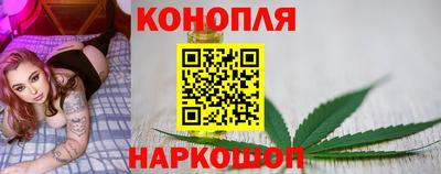 индика Жуковский