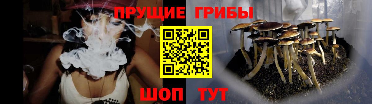 Псилоцибиновые грибы Magic Shrooms  Галлюциногенные грибы Psilocybe  Вход с VPN  Мелеуз 